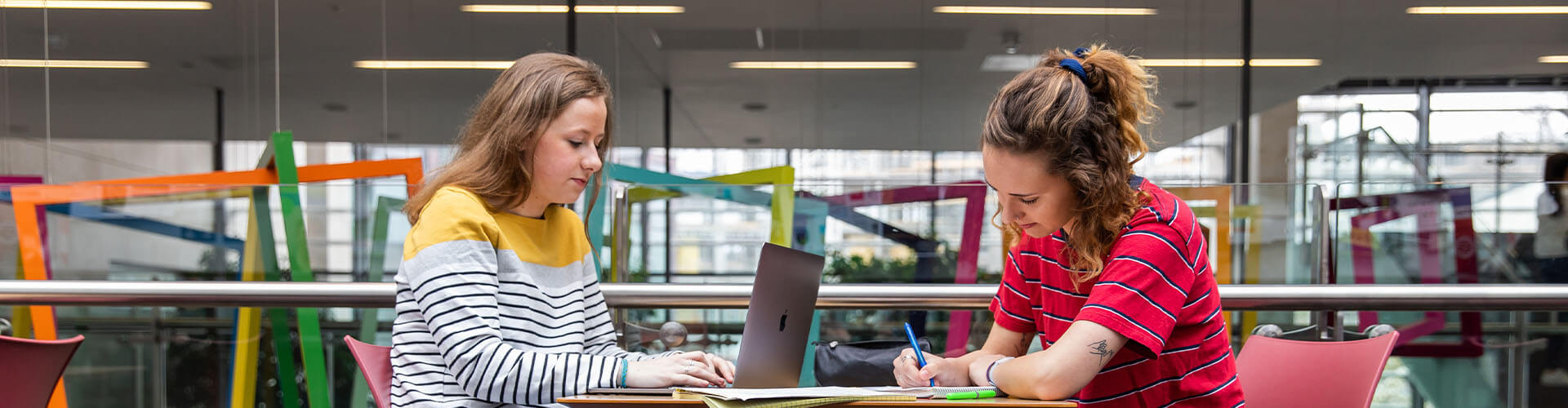 Two UCD students studying.